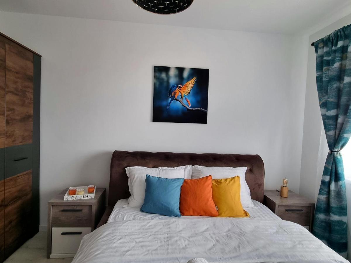 Ana&patrick Friendlyapartment Oradea